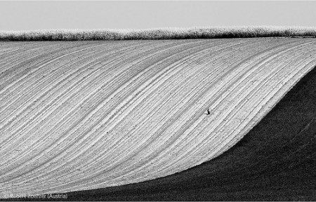 Robert Zoehrer (Austria), ganó con este paisaje de un campo arado, en Burgenland, donde aparece una liebre marrón.
